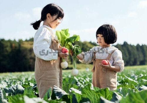 بهترین شیوه ی یادگیری زبان انگلیسی کودکان-وبسایت آکادمی زبان حیدری
